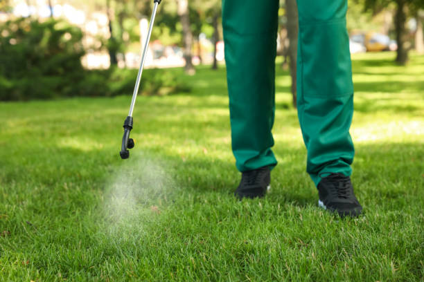 Best Wasp Removal Services  in Flower Mound, TX