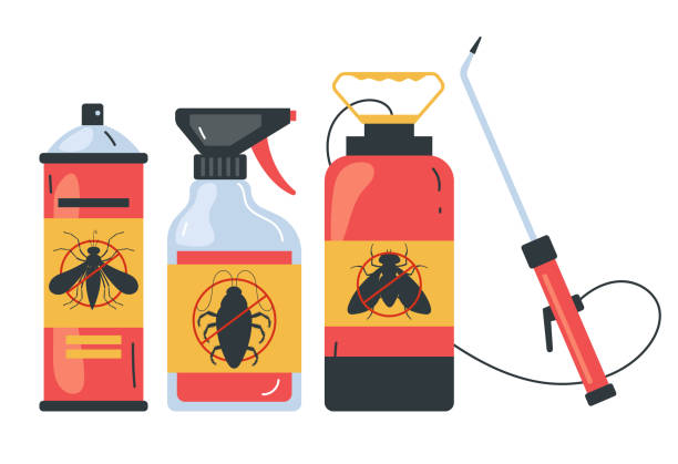 Best Bed Bug Extermination  in Flower Mound, TX