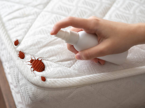 Best Pest Removal Services  in Flower Mound, TX