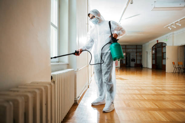 Best Wasp Removal Services  in Flower Mound, TX