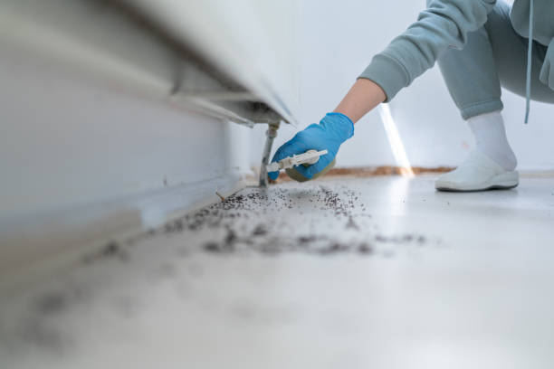 Flower Mound, TX Pest Control Company